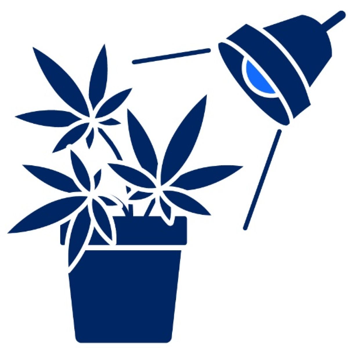 Pictogram of marijuana plant under lights