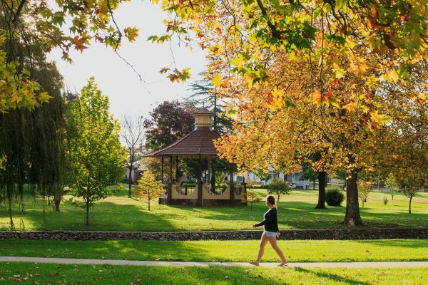 A person in shorts walks through a grassy park. There is a small pavilion in the centre of frame. Trees with autumn leaves hand over the pavilion.