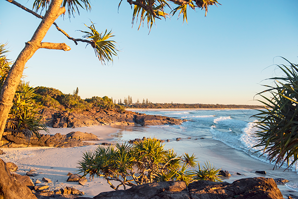 Surfers catching a morning wave at Cabarita Beach, Northern Rivers Tropical NSW