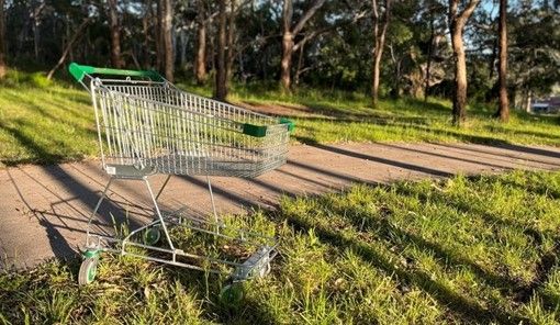 Unattended trolley next to a footpath in a park.